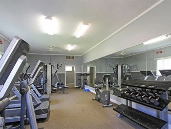 a gym with a bunch of exercise equipment in it